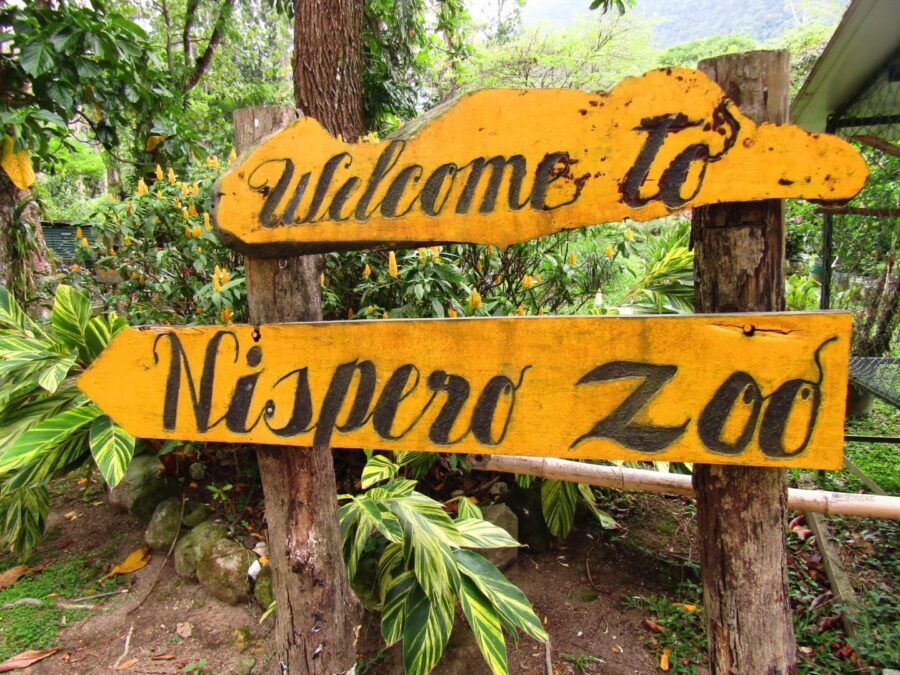 El Nispero Zoo, Panamá